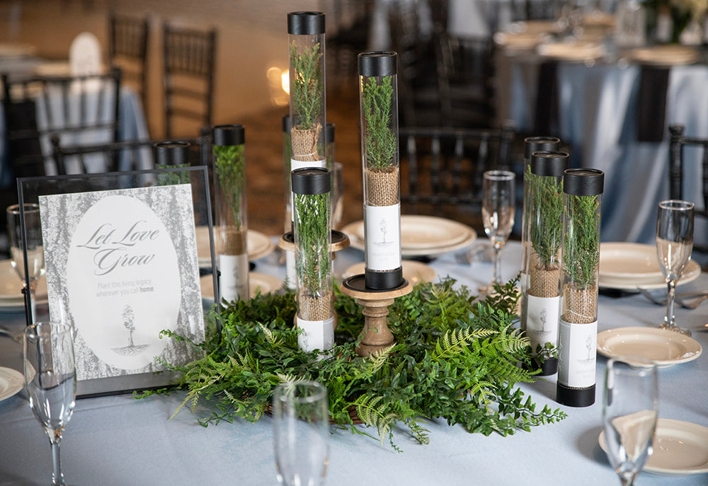 Wedding sequoia sapling set up