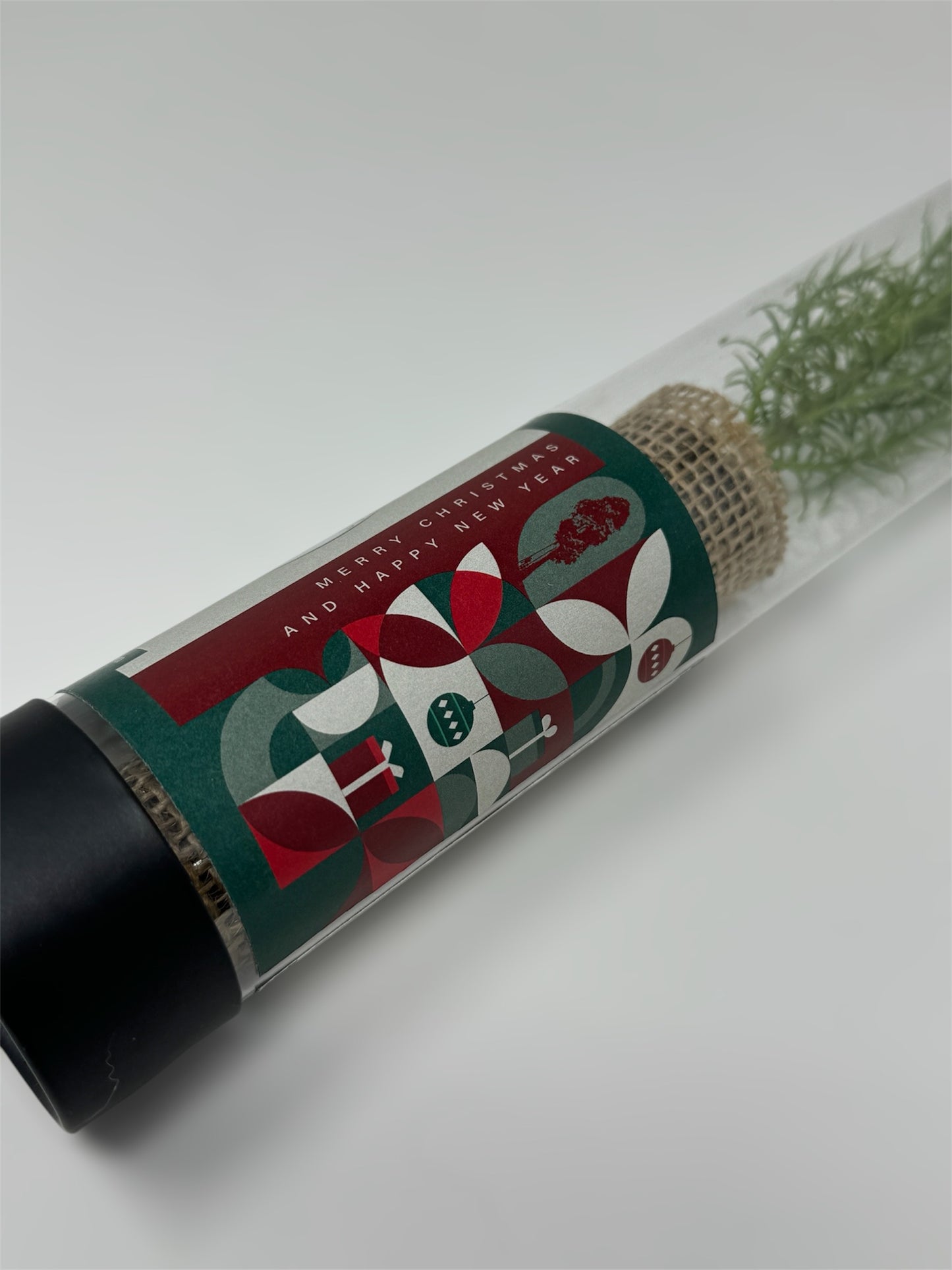 Sequoia sapling in a clear tube with custom christmas and new years label