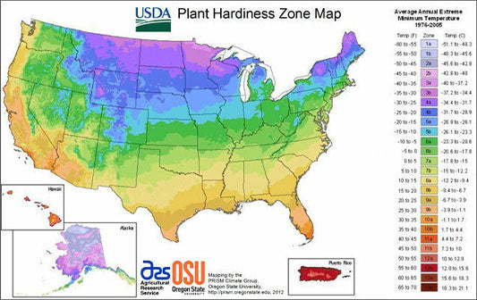 Plant Hardiness Zone Map
