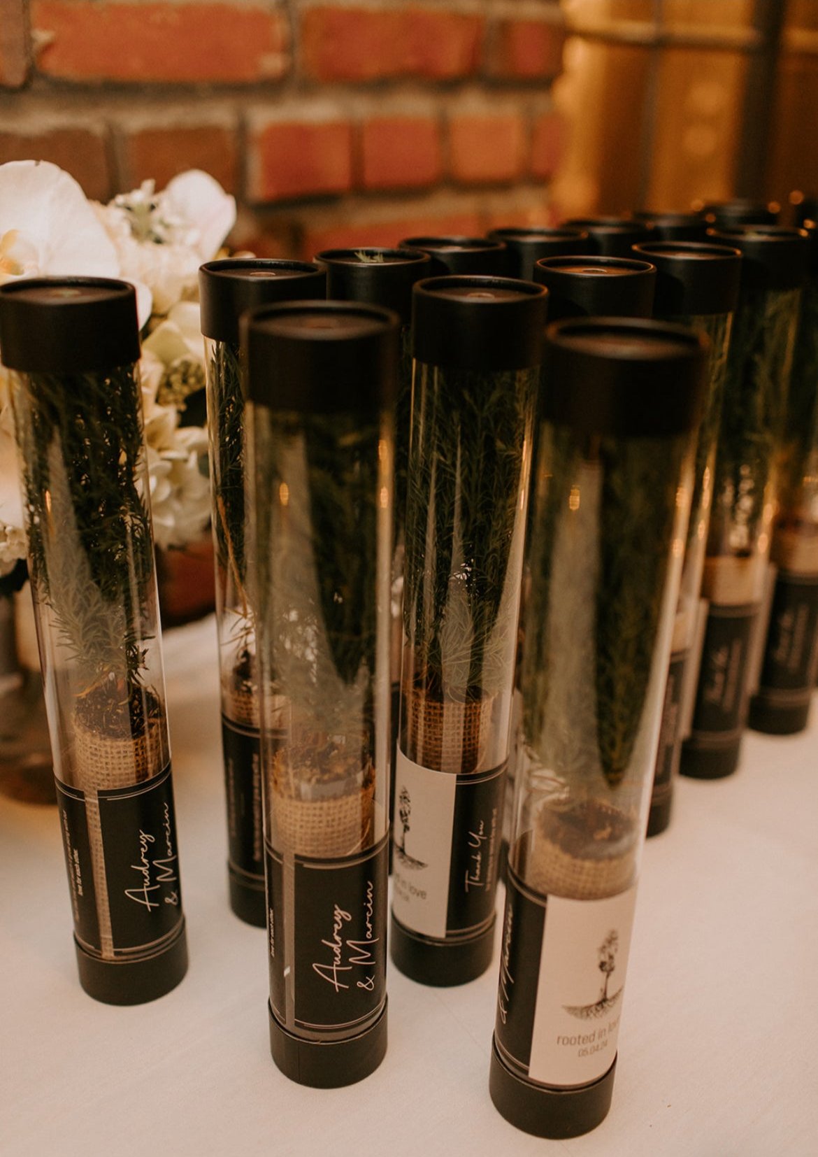 sequoia saplings in clear tubes with custom wedding labels