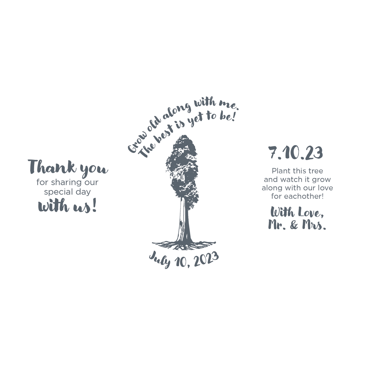 Giant Sequoia Sapling Wedding Label