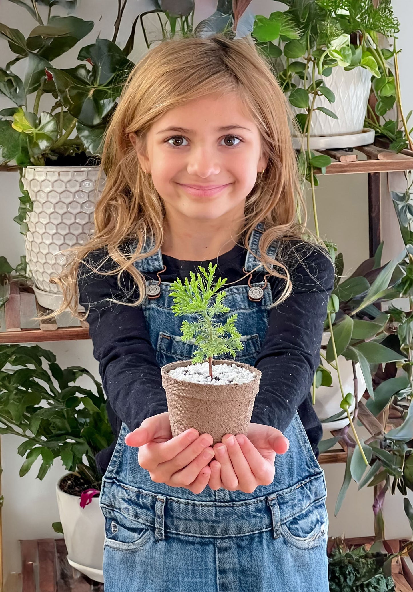 Young girl holding sequoia tree sapling
