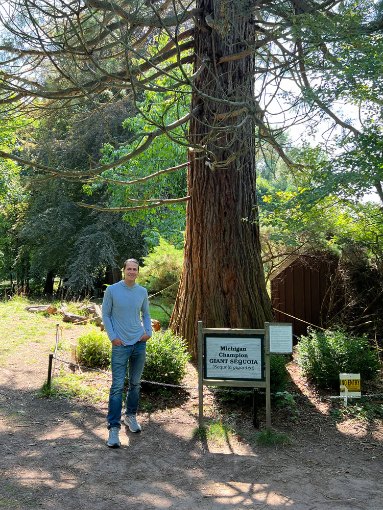 National Sequoias Man Standing by giant sequoia tree