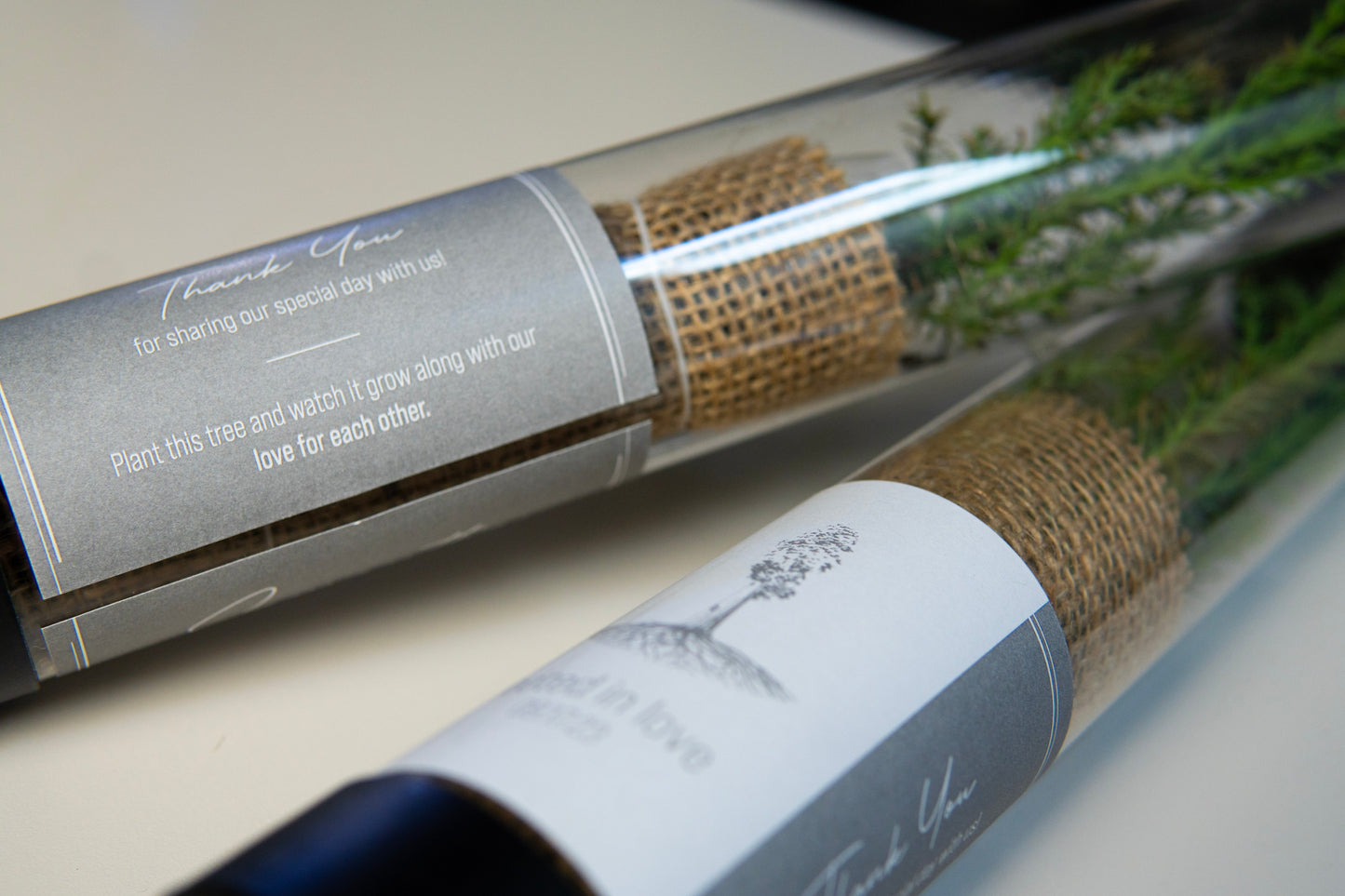clear tube with giant sequoia sapling inside with custom wedding label