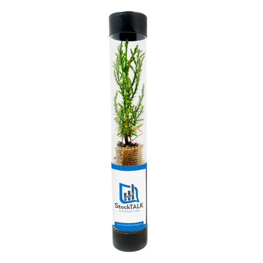 Sequoia sapling in a transparent tube with a black lid and StockTalk logo on a white background
