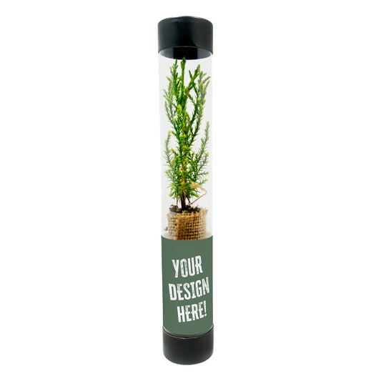 Clear tube with a sequoia sapling and customizable text on a white background