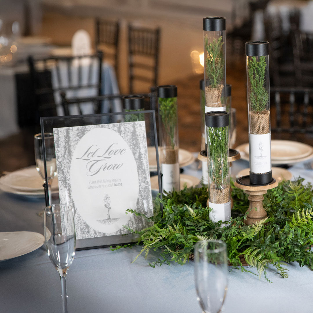 Sequoia Tree sapling wedding sign display