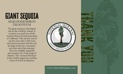 Informational label about Giant Sequoia with text and logo on a beige and green background