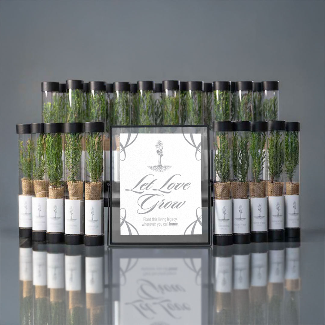 Sequoia tree wedding table sign and favors