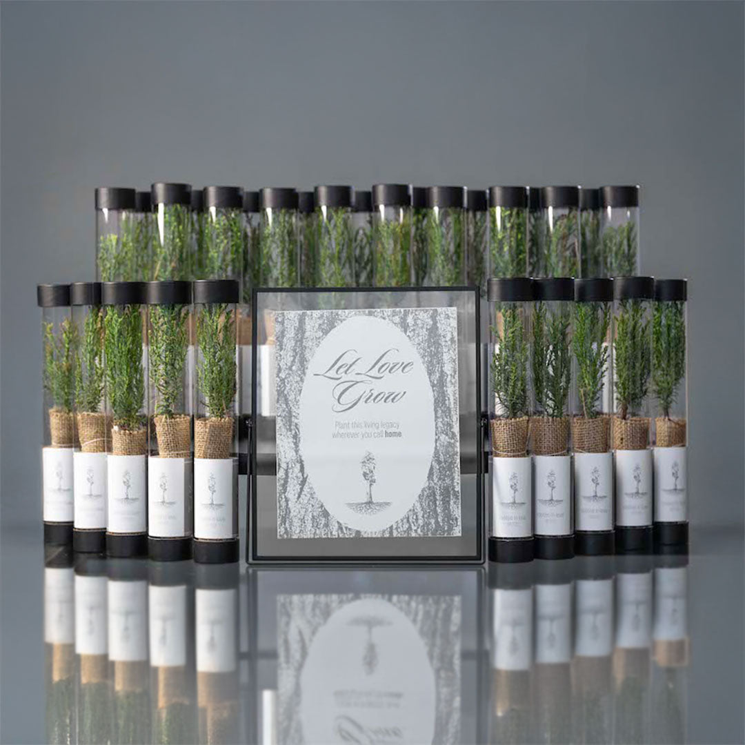 Matching wedding table sign and sequoia tree sapling party favors