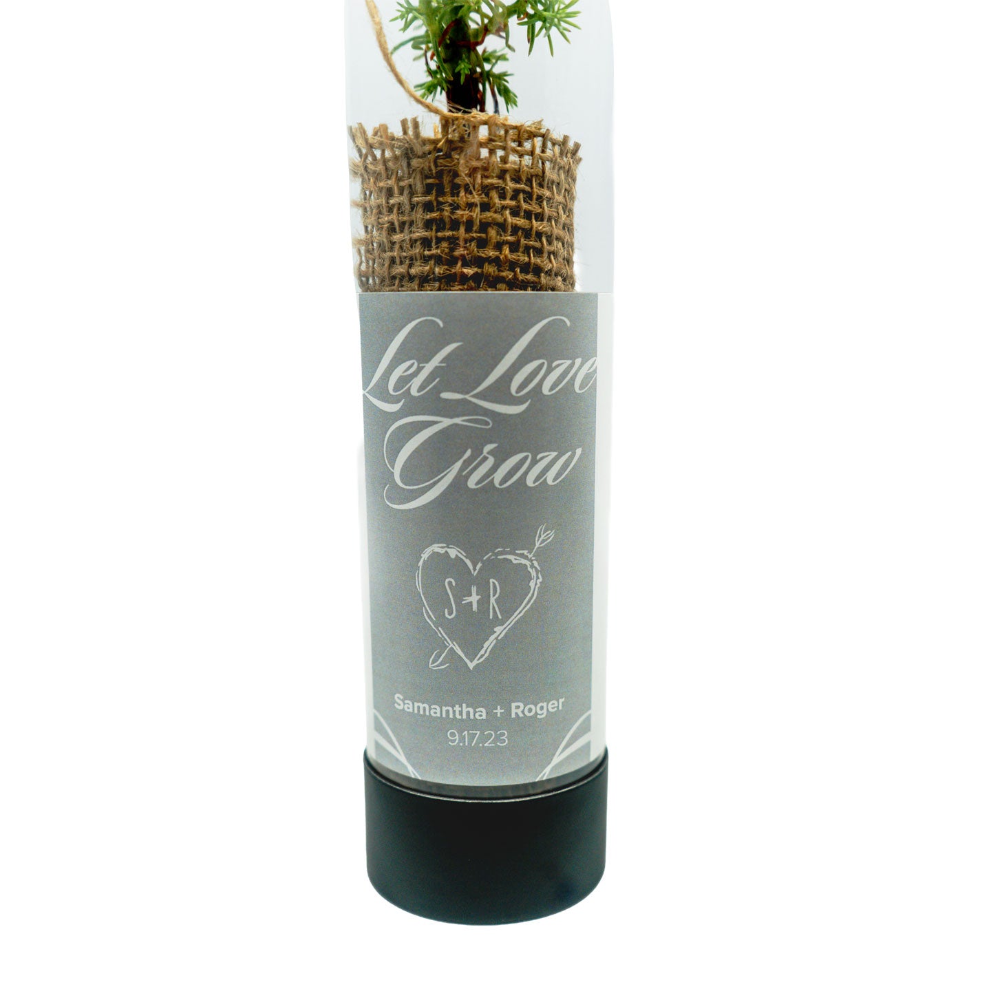 Decorative custom wedding tube with giant sequoia sapling and 'Let Love Grow' text on a white background