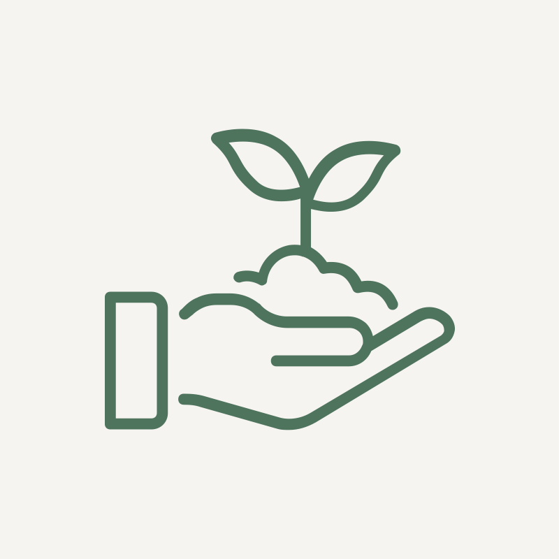 green hand holding plant