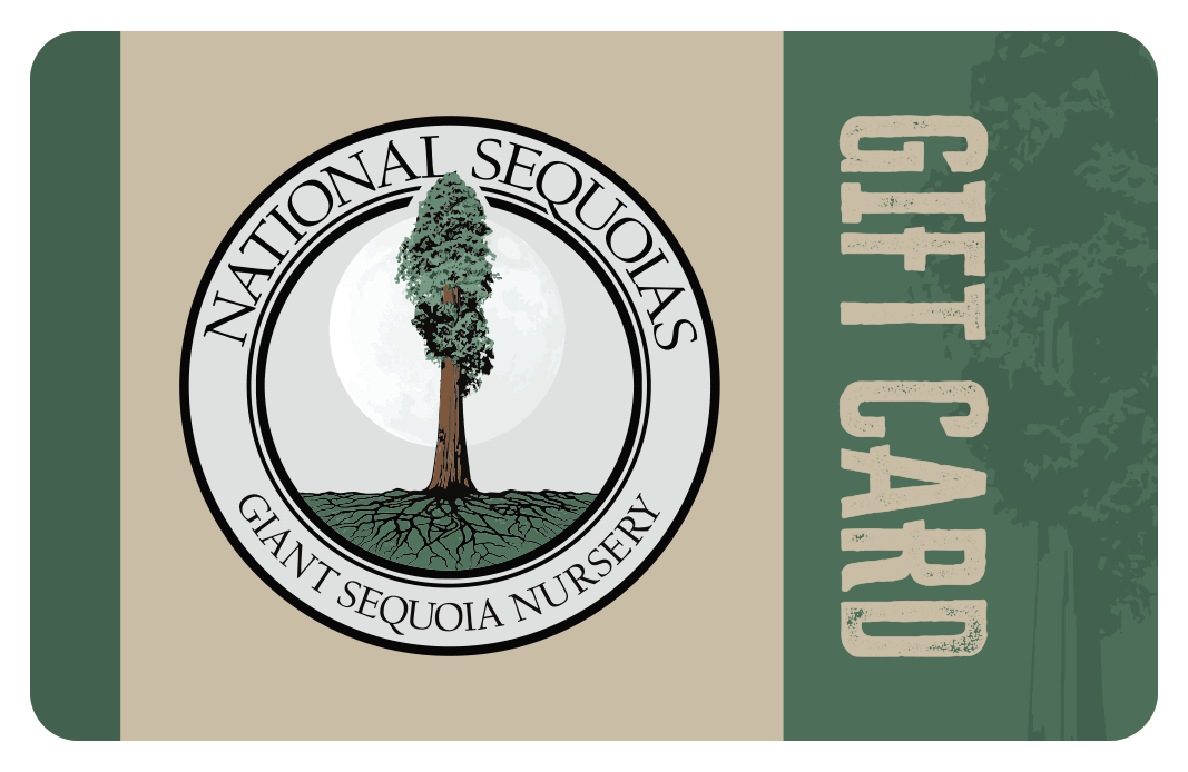 A digital gift card with a green and beige design featuring a sequoia tree and the text 'GIFT CARD'.