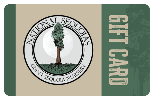 A digital gift card with a green and beige design featuring a sequoia tree and the text 'GIFT CARD'.