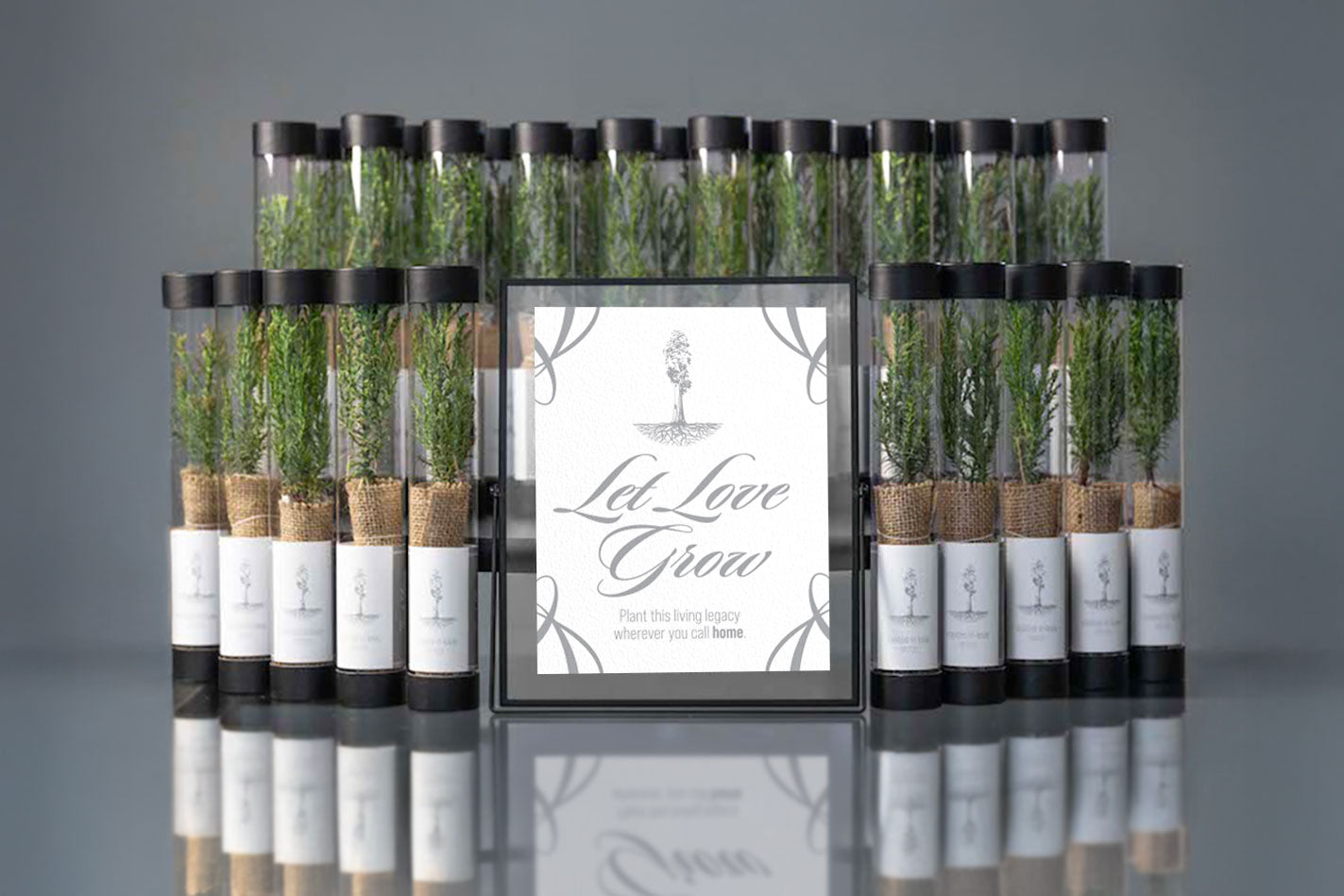 Sequoia saplings in clear tubes lined up around a sign "Let Love Grow" on a table
